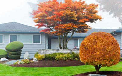 4 Landscaping Design Tips to Consider Now