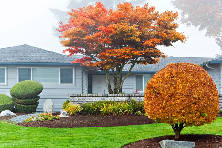 4 Landscaping Design Tips to Consider Now