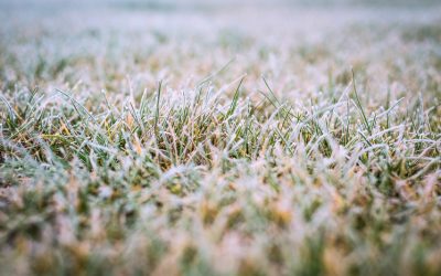 Is Your Yard Ready for Winter?