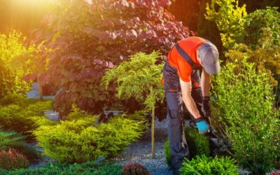 3 Ways Landscaping Helps Your Curb Appeal