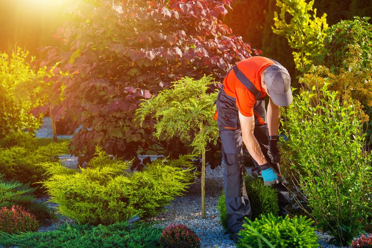 3 Ways Landscaping Helps Your Curb Appeal