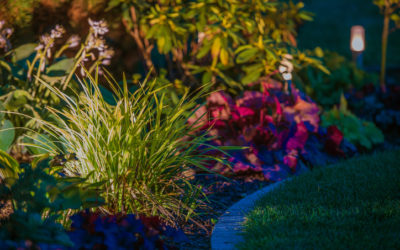 3 Reasons to Hire a Landscaper to Install Your Outdoor Lighting