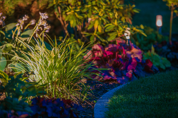Lee's Nursery and Landscaping | Rock Hill, SC | night time lighting in the landscape