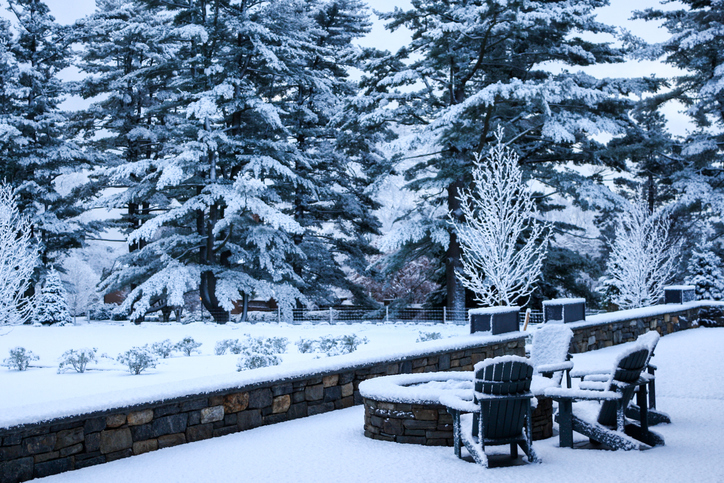 Lee's Nursery and Landscaping | Rock Hill, SC | garden furniture covered in snow