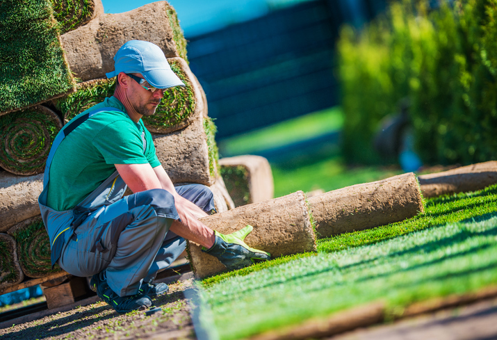 Lee's Nursery and Landscaping | Rock Hill, SC | new turf grass or sod installation