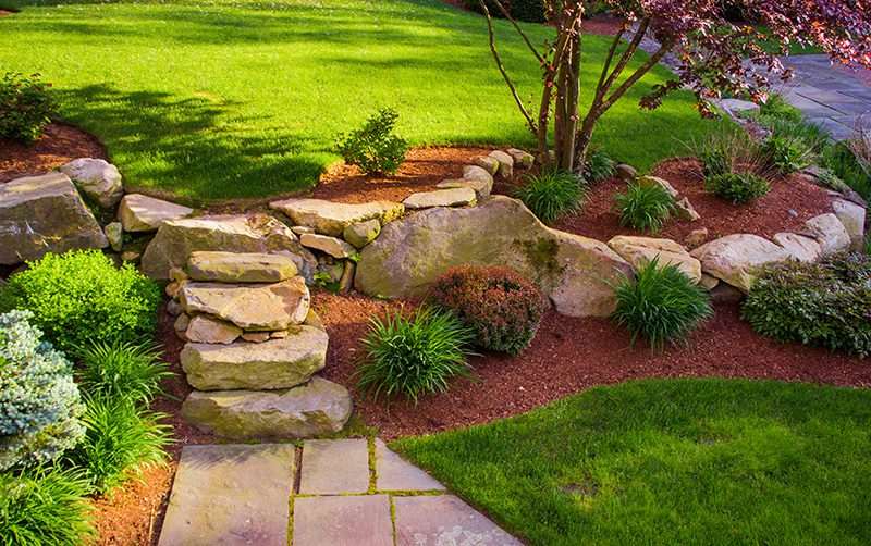 Lee's Nursery and Landscaping | Rock Hill, SC | yard landscaping